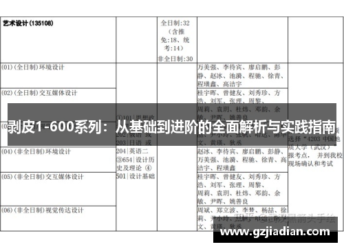 剥皮1-600系列:从基础到进阶的全面解析与实践指南 剥皮1-600系列:从基础到进阶的全面解析与实践指南