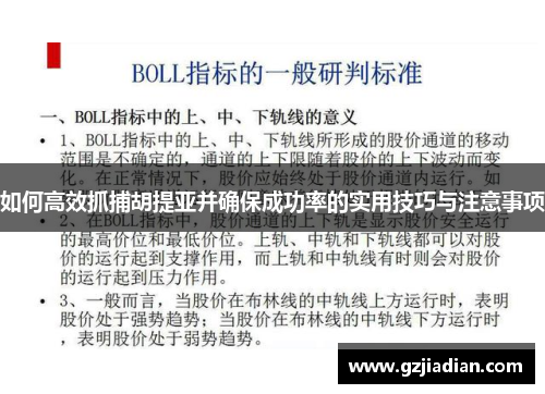 如何高效抓捕胡提亚并确保成功率的实用技巧与注意事项